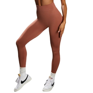 Seamless high-waisted yoga leggings in terracotta red for fitness and tummy control