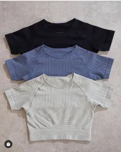 Detailed texture of seamless tiger-pattern sports crop tops in three assorted colors