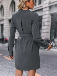 Detail of dark grey long-sleeved shirt dress with belted waist and back pleat
