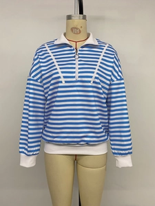 Detail des Polo-Kragens mit Reißverschluss am blau-weiß gestreiften Sweatshirt mit Ring-Zipper