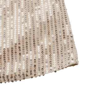 Detail of elegant beige mesh fabric with vertical rows of shiny silver sequins