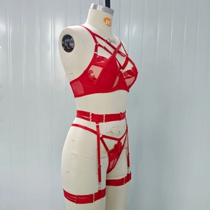 Detail of red lace lingerie set featuring strappy cross bra and matching garter belt