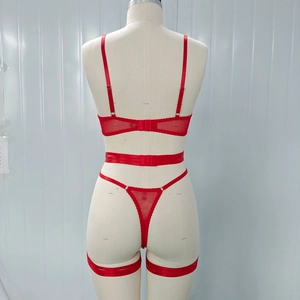 Detailed back view of red mesh lingerie set with adjustable straps and metal buckles
