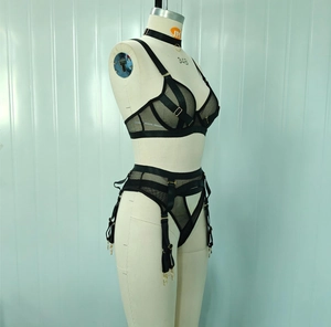 Detail of black mesh lingerie set featuring choker, garter belt and gold hardware