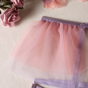 Vue détaillée du porte-jarretelles en tulle rose et dentelle satin violette avec boucle