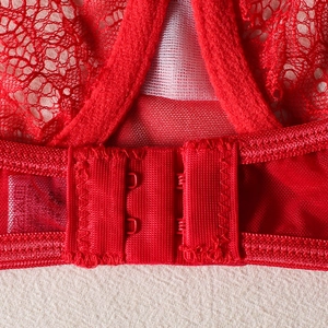 Detail of red lace lingerie set showing the double row hook-and-eye back closure