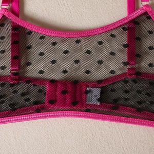 Macro shot of polka dot mesh lingerie back with double row hook-and-eye closure