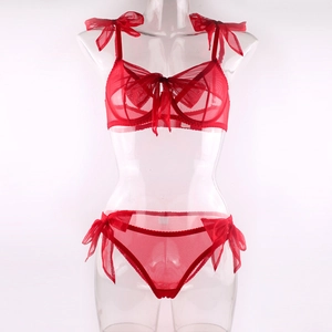 Sexy red sheer mesh lingerie set with satin bows and underwire bra on a white background