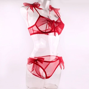 Macro detail of red sheer mesh lingerie set featuring large decorative satin ribbons