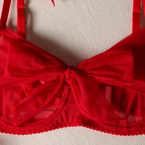 Close-up of red sheer mesh bra featuring a large decorative bow and intricate stitching