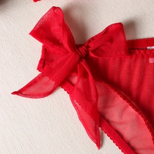 Detailed close-up of a red sheer mesh panty with side ribbon bow and delicate lace edge