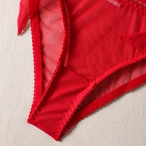 Detailed close-up of red sheer mesh panty with delicate lace edges and stitching
