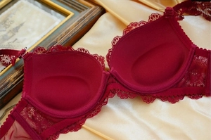 Detail of burgundy lace bra showing padded cups and sheer mesh side wings on satin