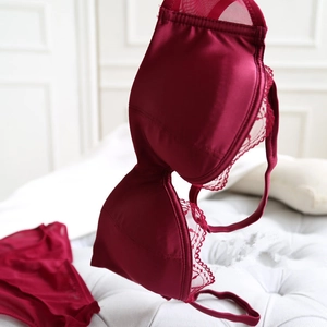 Détails d'un ensemble de lingerie en satin bordeaux et dentelle avec des ailes en mesh doux