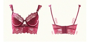 Vue détaillée du soutien-gorge en dentelle rouge rose avec broderie florale et maintien