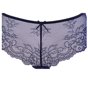Navy blue lace lingerie set with floral embroidery and bow detail on white background