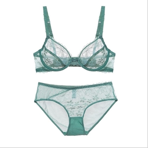 Women Sexy Lace Lingerie Top And Bottom Transparent Ultra-Thin Floral Embroidery Bra And Panty Set Noble Underwear