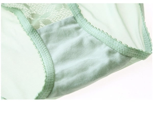 Détail de culotte en dentelle vert menthe montrant le mesh et la doublure en coton