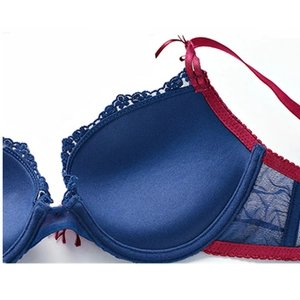 Lace bra set in deep blue and burgundy with floral embroidery and mesh details