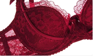 Détail du soutien-gorge en dentelle rouge vin avec broderies florales et bords fins