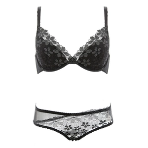 Ensemble de lingerie élégant en dentelle noire brodée avec soutien-gorge floral et culotte