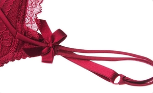 Détail d'un ensemble de lingerie en dentelle bordeaux avec nœud en satin et broderies