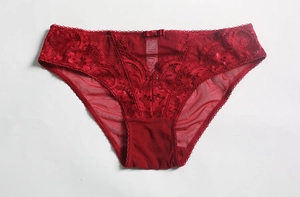 Détail de culotte en dentelle rouge avec mesh semi-transparent et petit nœud délicat