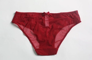 Gros plan détaillé de culotte en dentelle bordeaux avec broderie et nœud en soie décoratif