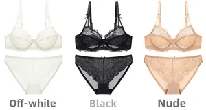 Three-color set of thin mesh lace lingerie sets in off-white, black, and nude tones
