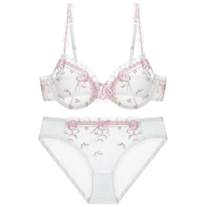 Set lingerie in pizzo con ricamo floreale rosa e fiocchi di seta su rete bianca trasparente