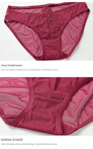 Détail de culotte en dentelle rouge foncé avec taille basse et gousset en coton