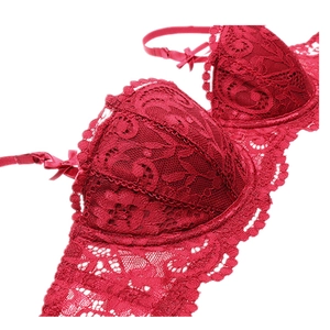 Dettaglio ravvicinato della coppa del reggiseno in pizzo rosso con ricamo floreale