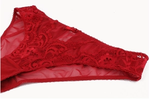 Dettaglio di mutandine in pizzo rosso con inserti in mesh e un fiocco decorativo