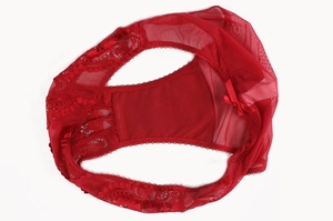 Dettaglio di slip in pizzo floreale rosso e rete con fiocchi di raso su sfondo bianco