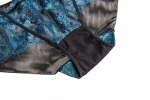Close-up of sheer lace panties with blue floral embroidery and eyelash lace trim