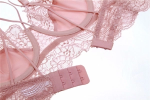 Close-up of pink lace bra featuring a three-row hook closure and intricate floral patterns