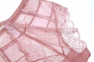 Detail of sheer lace panties in dusty rose with floral patterns and eyelash lace edges