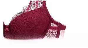 Detail of burgundy lace bra side wing with breathable mesh and floral embroidery