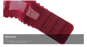 Detail of burgundy lace bra showing triple hook-and-eye closure and mesh side wings