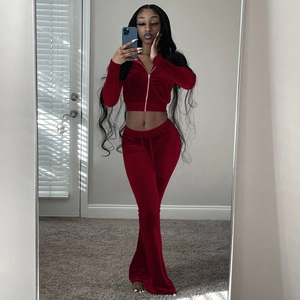 Detail view of burgundy velvet two-piece crop top hoodie and flare pants set