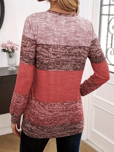 Back view of a color-block long sleeve top with marled knit texture and round neck