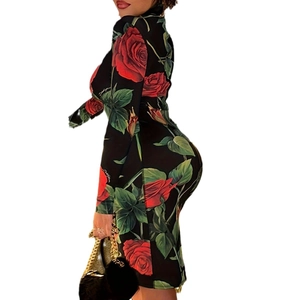 Robe moulante grande taille à manches longues avec imprimé roses rouges et col