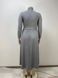 Back view of a grey high-neck long-sleeve dress with pleated waist and flared hemline