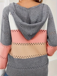 Detailed back view of women's striped knit hoodie with pointelle crochet hollow design
