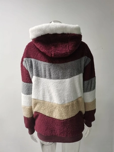 Vista posteriore di una giacca con cappuccio in pile sherpa a righe multicolore con polsini