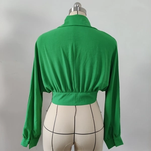 Detail of light green cropped blouse showing waist pleats and lantern sleeve texture