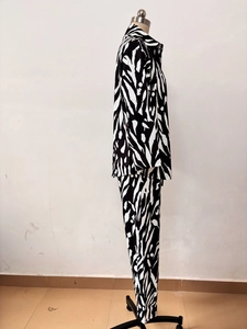 Détail de l'ensemble chemise à manches longues et pantalon à motif zèbre sur mannequin
