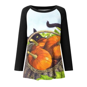 Close-up of raglan sleeve detail and Halloween black cat pumpkin print on long sleeve tee