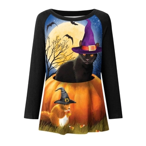 Detail of Halloween graphic print with black cat and pumpkin on raglan long sleeve tee