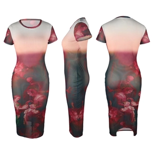 Three-sided view of a slim-fit mesh dress featuring a vintage Renaissance oil painting print